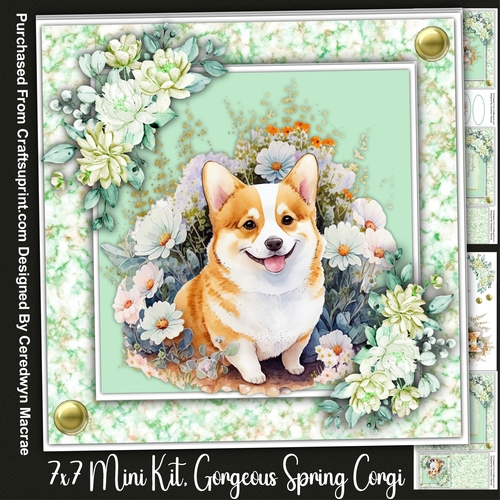 7x7 Mini Kit Gorgeous Spring Corgi