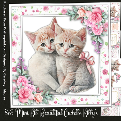 8x8 Mini Kit Beautiful Cuddle Kittys