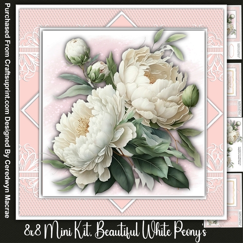 8x8 Mini Kit, B3eautiful White Peonys