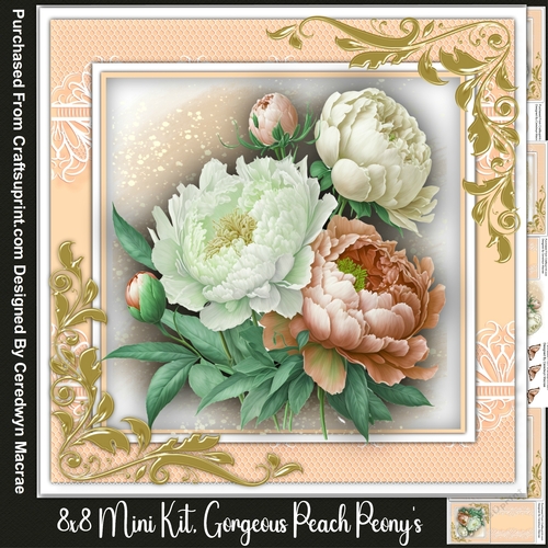 8x8 Mini Kit, Gorgeous Peach Peonys