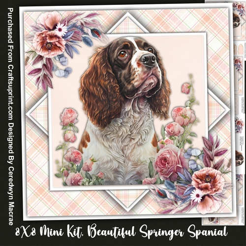 8x8 Mini Kit, Beautiful Springer Spaniel