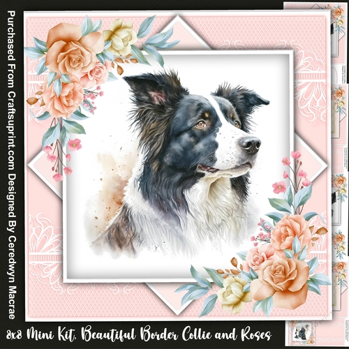 8x8 Mini Kit  Beautiful Border Collie with Roses