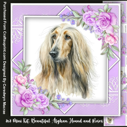 8x8 Mini Kit  Beautiful Afghan Hound with Roses