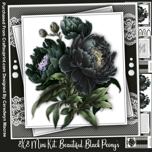 8x8 Mini Kit, Beautiful Black Peonys