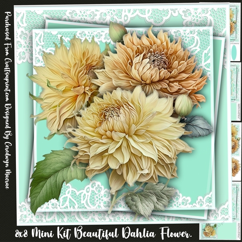 8x8 Mini Kit Beautiful Dahlia Flowers
