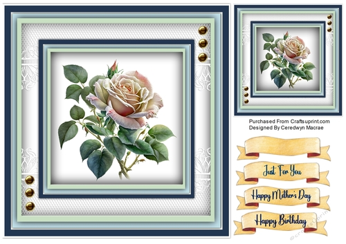 8x8 Beautiful Rose Moyesli  , 1