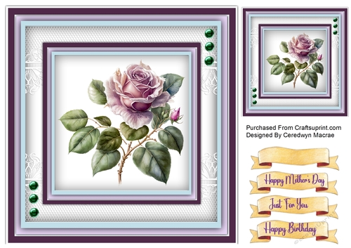 8x8 Beautiful Rose Moyesli  , 2
