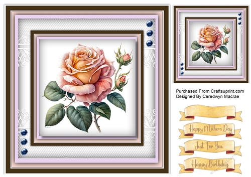 8x8 Beautiful Rose Moyesli  , 3