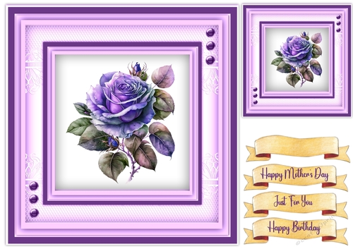 8x8 Beautiful Rose Moyesli  , 4