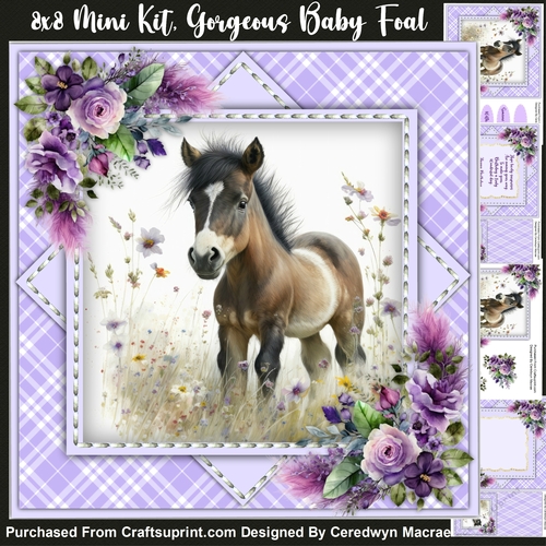 8x8 Mini Kit, Gorgeous Baby Foal
