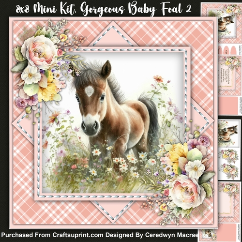 8x8 Mini Kit, Gorgeous Baby Foal 2