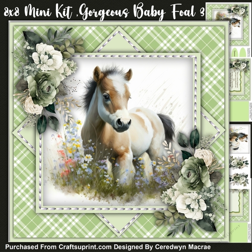 8x8 Mini Kit, Gorgeous Baby Foal 3