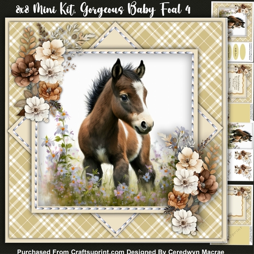 8x8 Mini Kit, Gorgeous Baby Foal 4