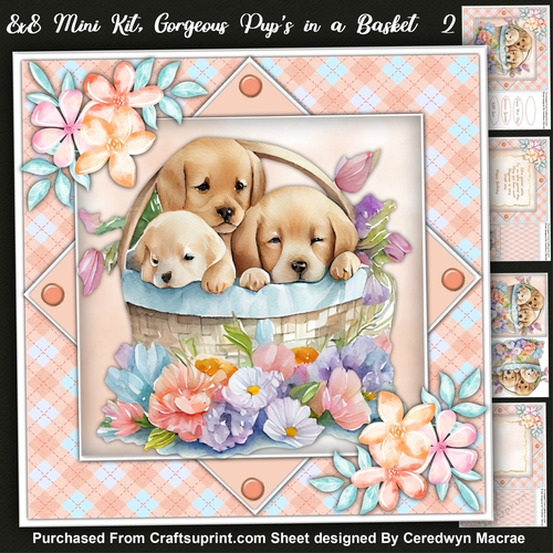 8x8 Mini Kit . Gorgeous Pups In a Basket