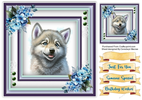 8x8 Quick Card , Beautiful Baby Wolf  1