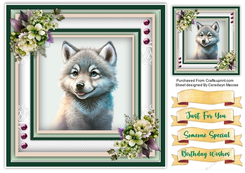 8x8 Quick Card , Beautiful Baby Wolf  3