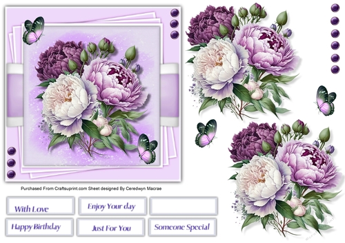 6x6 Beautiful Lilac Peony Roses and Butterflys