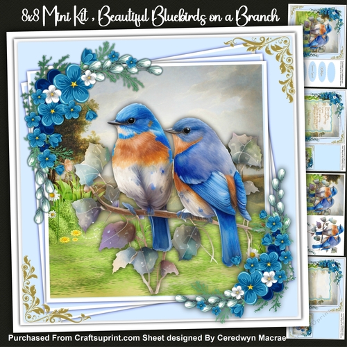 8x8 Mini Kit ,Beautiful Bluebirds on a Branch