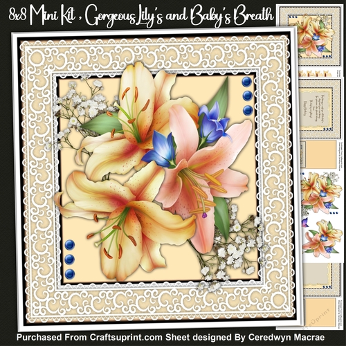 8x8 Mini Kit, Gorgeous Lilys and Babys Breath