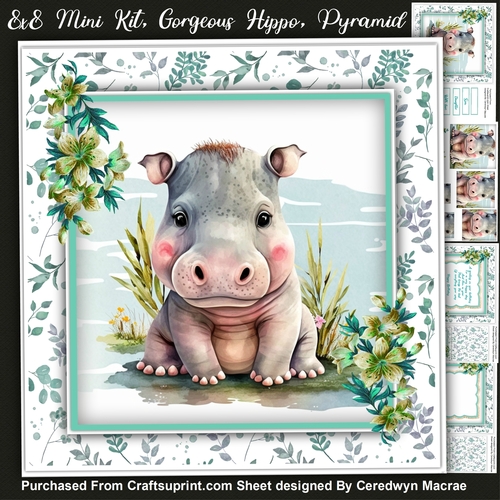 8x8 Mini Kit, Gorgeous Hippo ,Pyramid