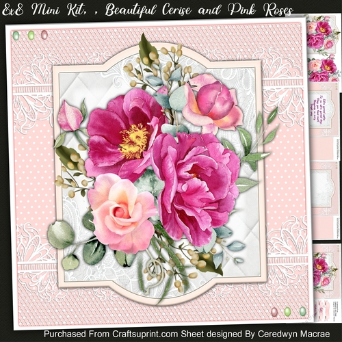 8x8 Mini Kit, Beautiful Cerise And Pink Roses
