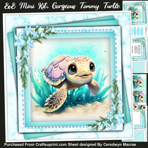 8x8 Mini Kit Gorgeous Tommy Turtle , Pyramid