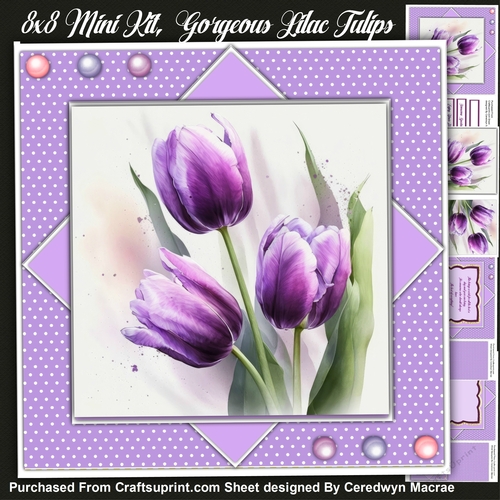 8x8 Mini Kit, Gorgeous Lilac Tulips , Pyramid  3