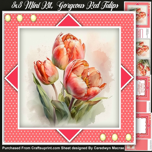 8x8 Mini Kit, Gorgeous Red Tulips , Pyramid  4
