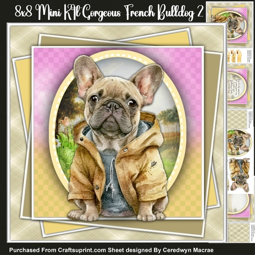 8x8 Mini Kit, Gorgeous Sassy  French Bulldog 2