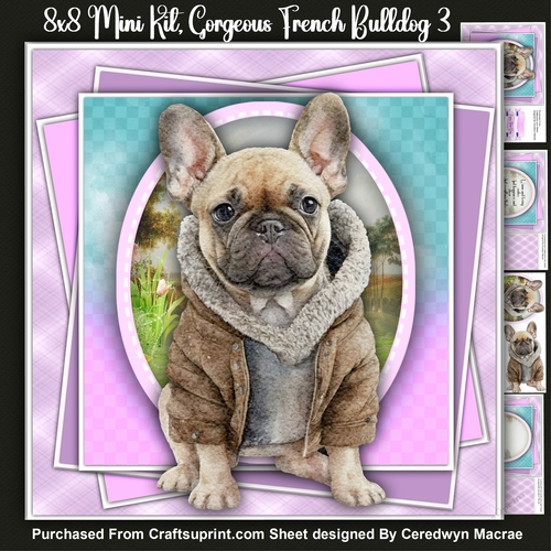 8x8 Mini Kit, Gorgeous Sassy  French Bulldog  3