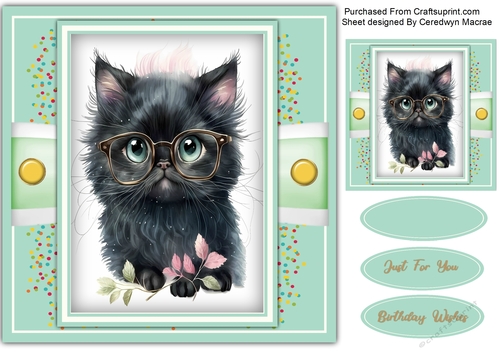 8x8 Gorgeous Sophisticated Kitty 1