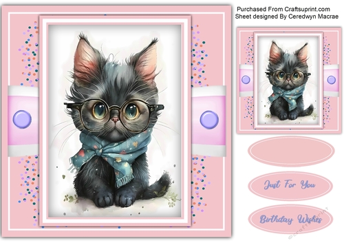 8x8 Gorgeous Sophisticated Kitty 2