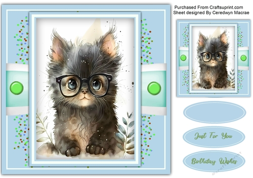 8x8 Gorgeous Sophisticated Kitty 3