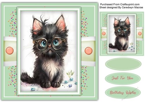 8x8 Gorgeous Sophisticated Kitty 5