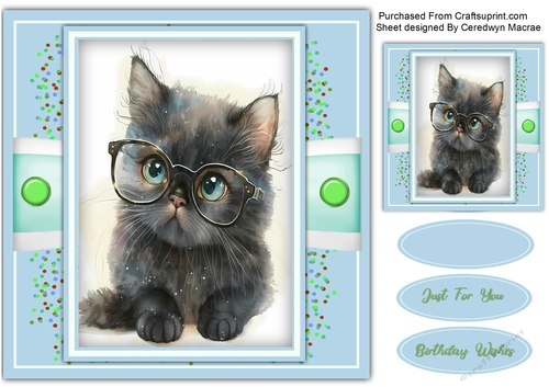 8x8 Gorgeous Sophisticated Kitty 6