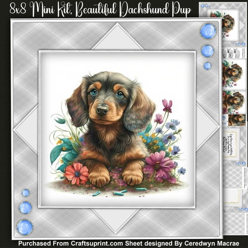 8x8 Mini Kit Beautiful Dachshund Pup 1, Pyramid 