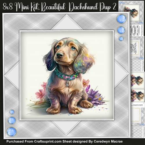 8x8 Mini Kit Beautiful Dachshund Pup  2, Pyramid 