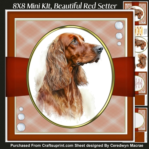 8x8 Mini Kit, Beautiful Red Setter , Pyramid