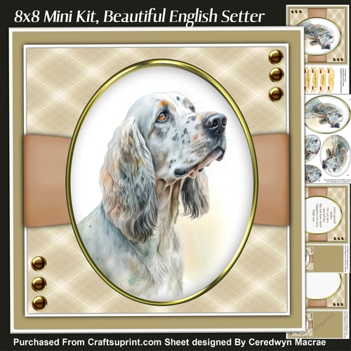 8x8 Mini Kit, Beautiful English Setter , Pyramid