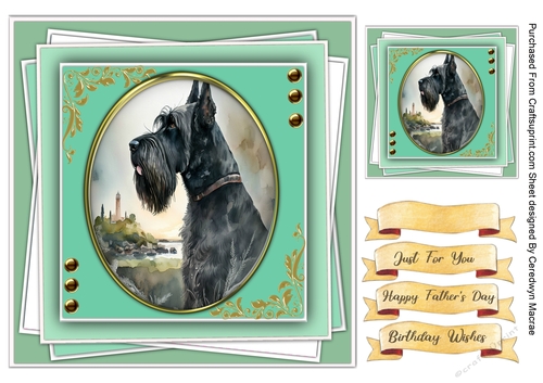 8x8 Gorgeous Giant Schnauzer Dog , 1