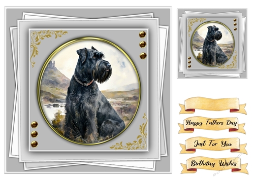 8x8 Gorgeous Giant Schnauzer Dog , 2