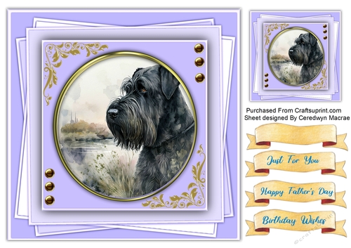 8x8 Gorgeous Giant Schnauzer Dog , 3