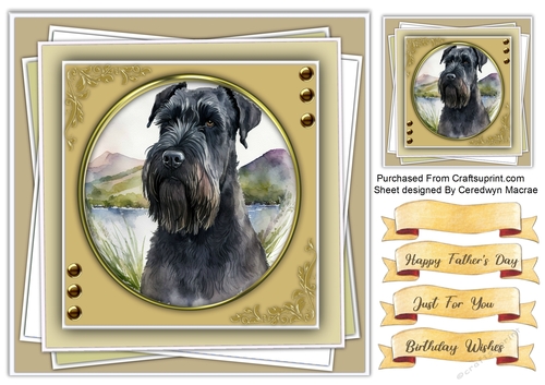 8x8 Gorgeous Giant Schnauzer Dog , 4