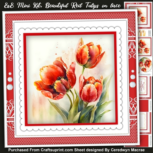 8x8 Mini Kit, Beautiful Red Tulips , Pyramid