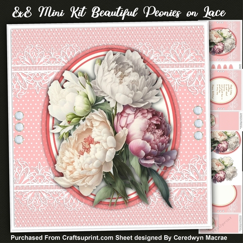 8x8 Mini Kit, Beautiful Peonies on Lace 