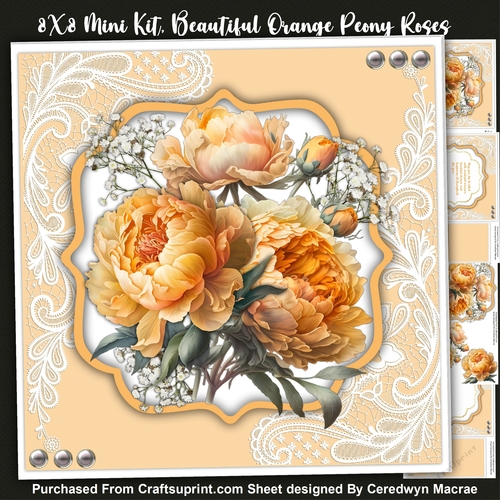 8x8 Mini Kit, Beautiful Orange Peony Roses 