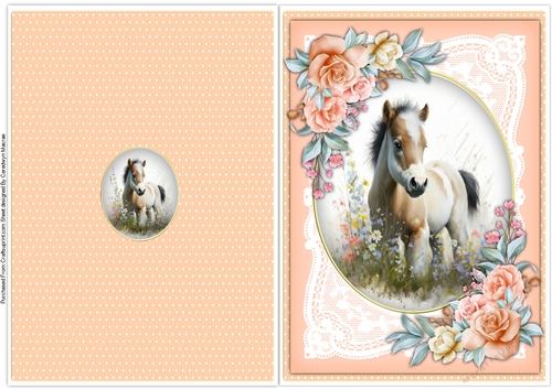 A5 Quick Print and Fold Cards, 5
