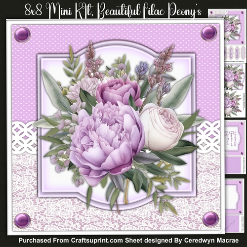 8x8 Mini Kit, Beautiful Lilac Peonys 