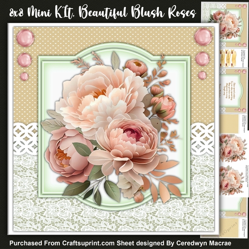 8x8 Mini Kit, Beautiful Blush pink Roses