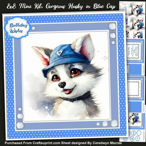 8x8 Mini Kit, Gorgeous Husky in Blue Cap 